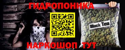 прущие грибы Гудермес