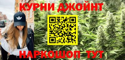 прущие грибы Гудермес