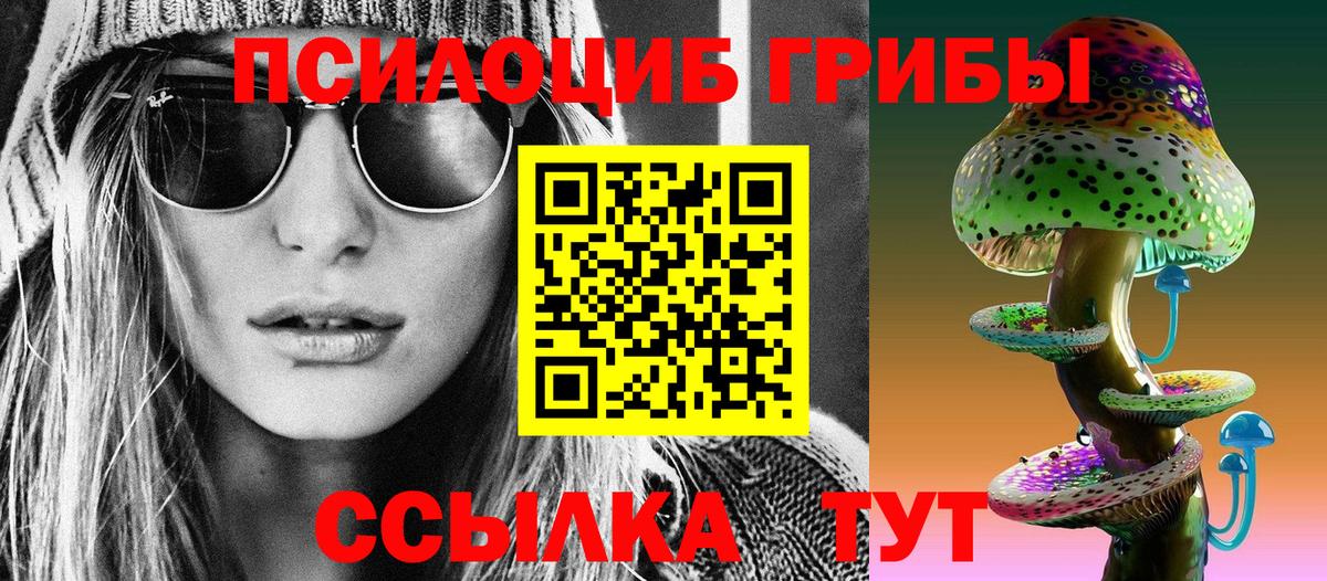 Гатчина  Галлюциногенные грибы Magic Shrooms  Вход с VPN  Галлюциногенные грибы Psilocybine cubensis 